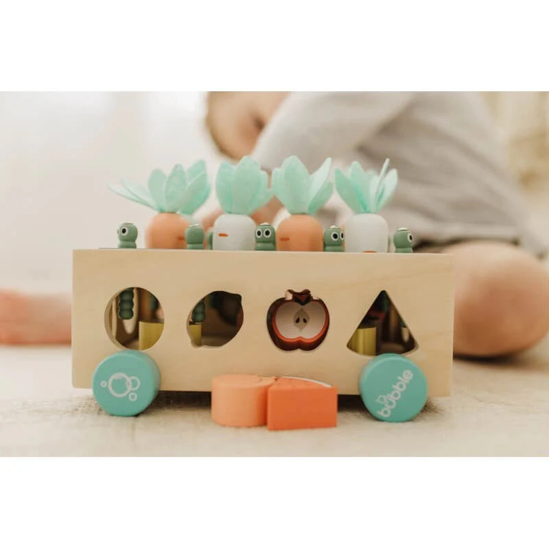 Bubble Wooden Vegetable Garden - Image 2