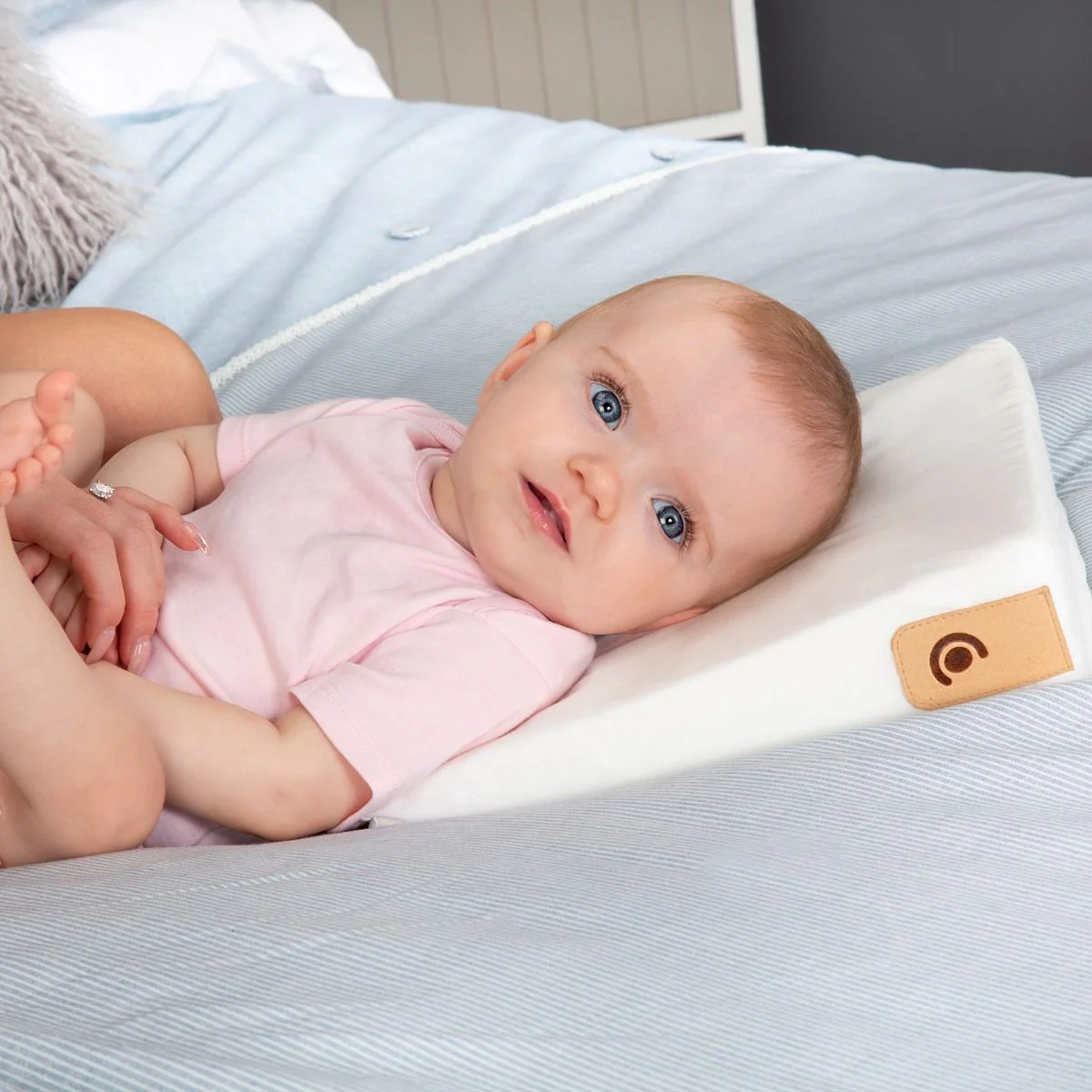 Cuddle Co Organic 2Pk Support Pillow & Wedge - Image 6