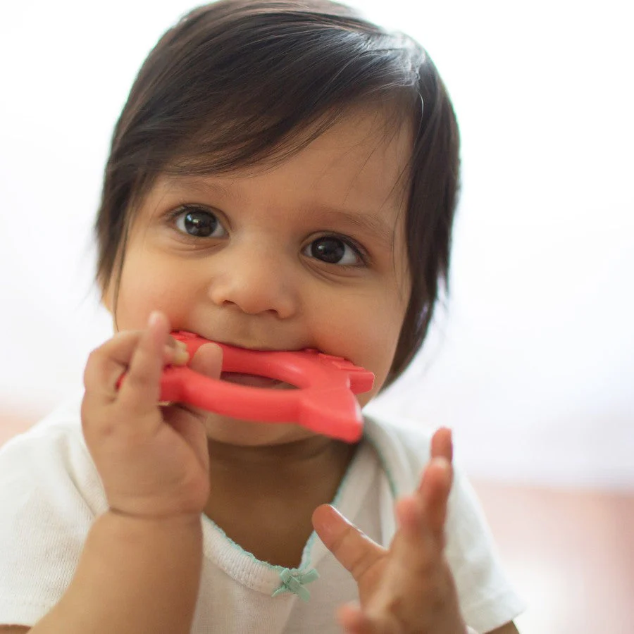 Dr Brown's Flexees Friends Teether - Fox - Image 2