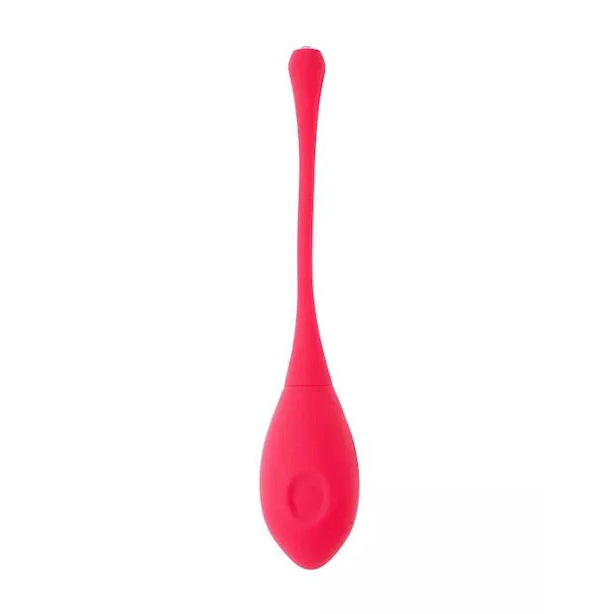 Eyden Vibrating Kegel Egg - Image 2