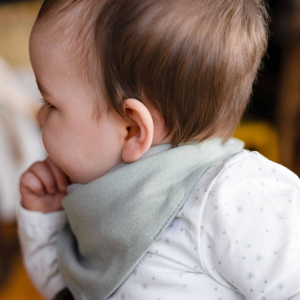 Little Linen Jersey Bib 2pk - Image 14