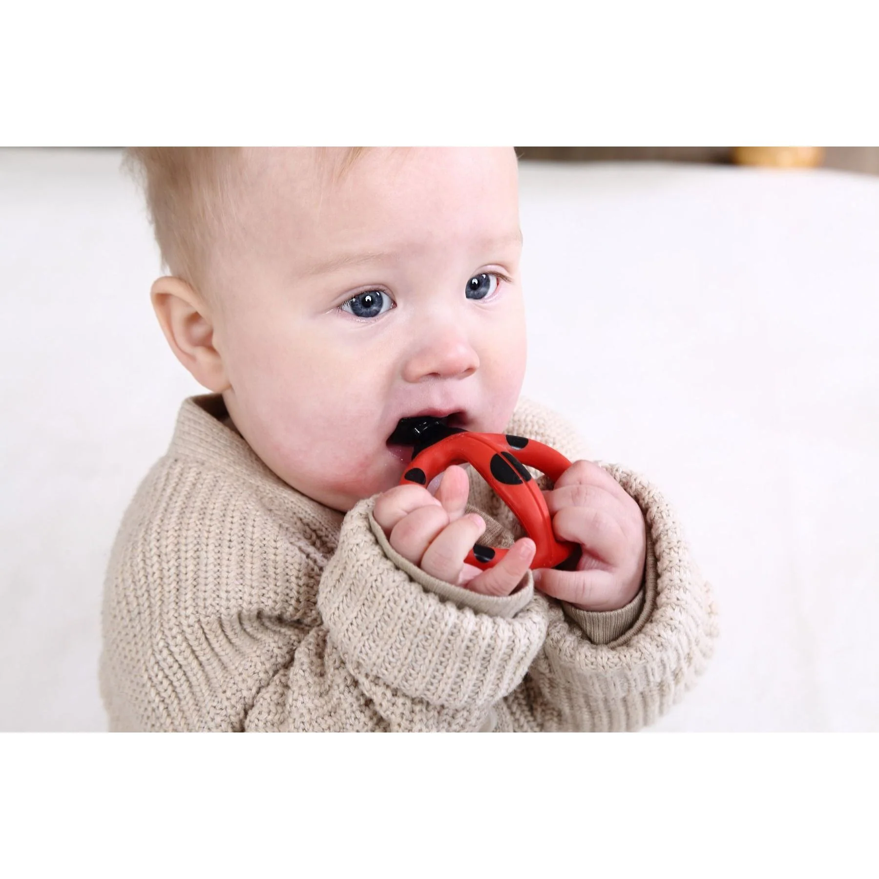 Mombella Stage 1 Baby Teething Toothbrush - Ladybug - Image 5