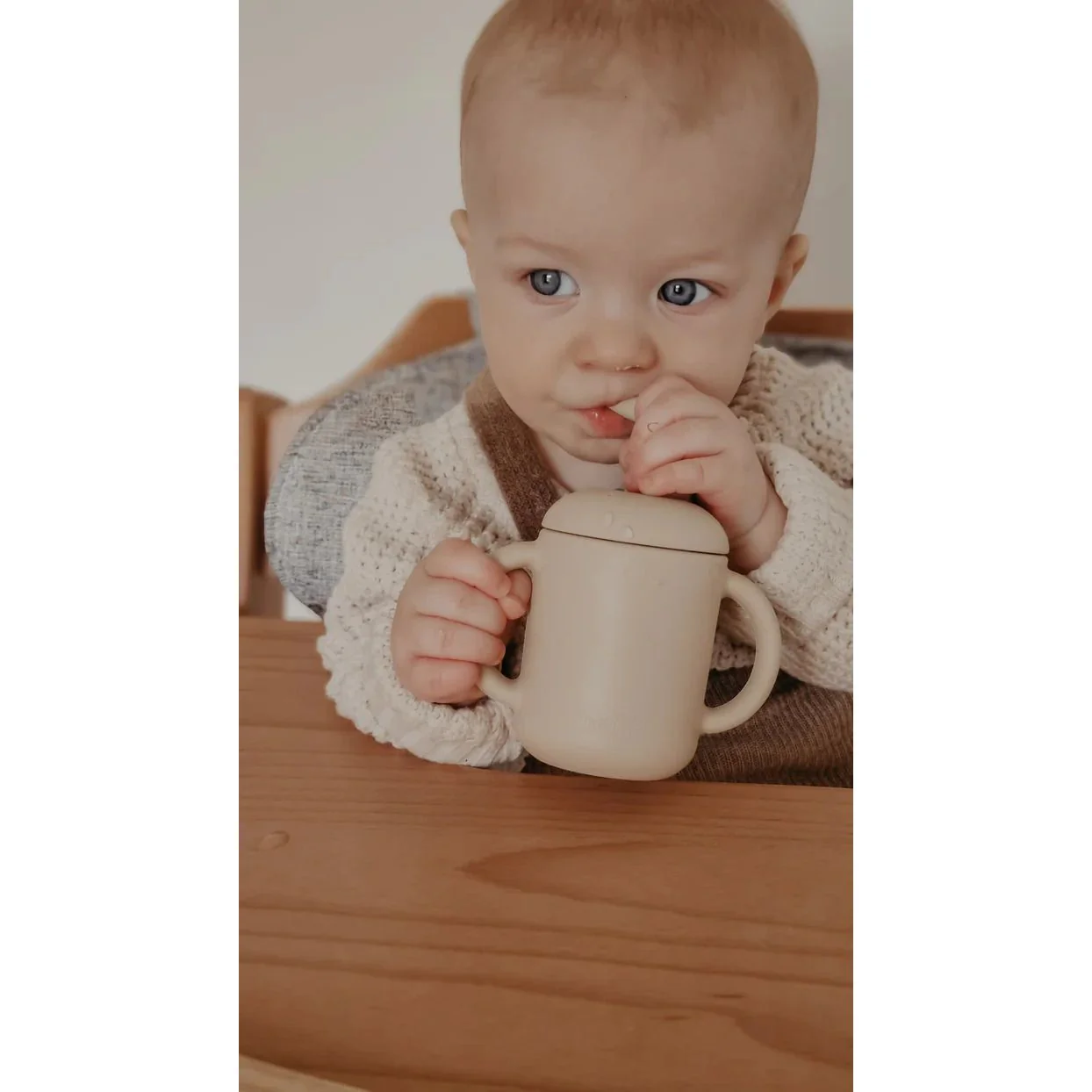 Petite Eats Mushroom Cup - Image 8