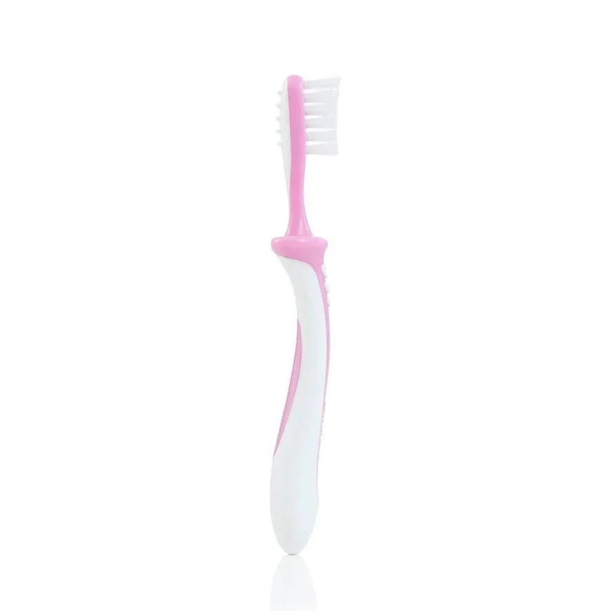 Pigeon Training Toothbrush