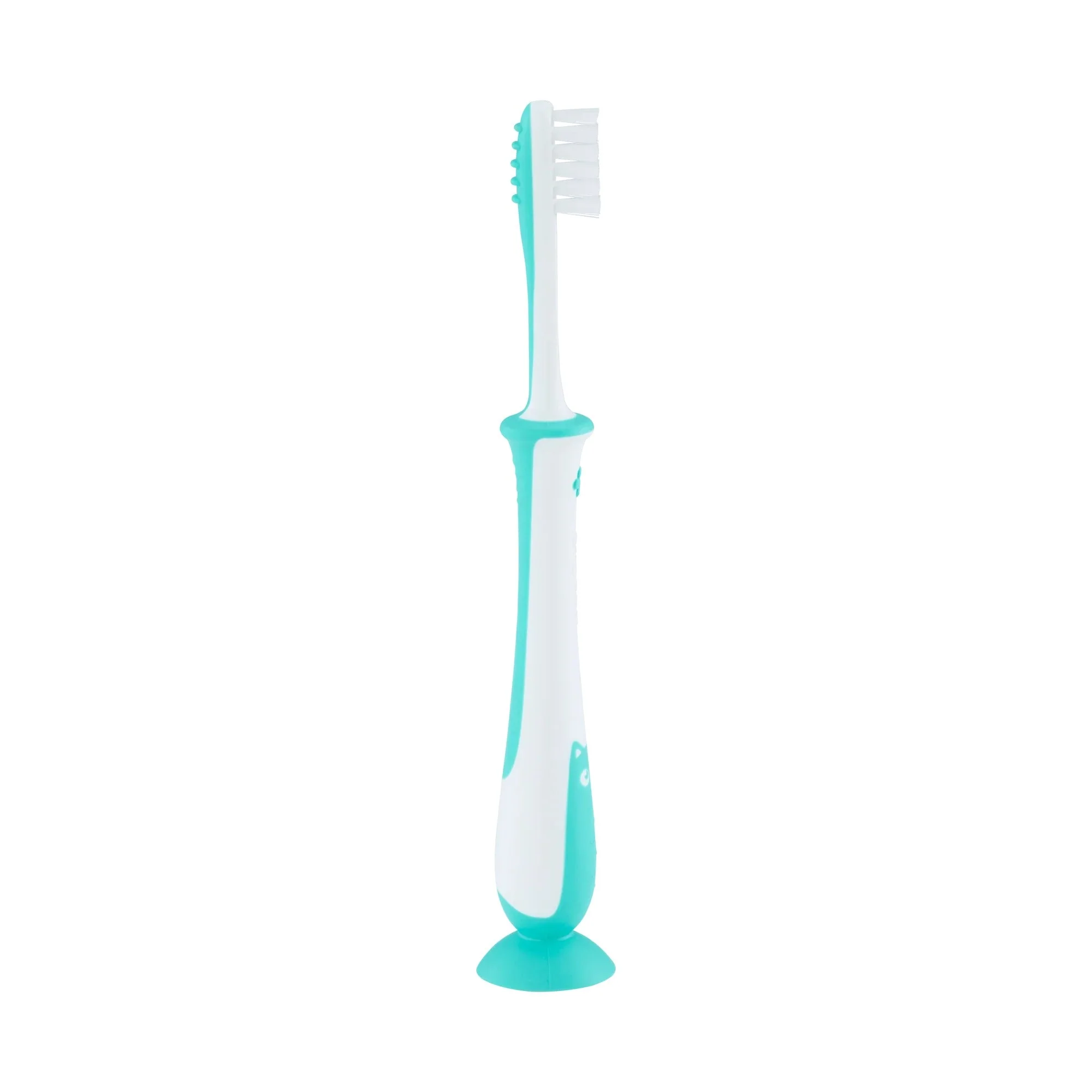 Pigeon Training Toothbrush - Image 3