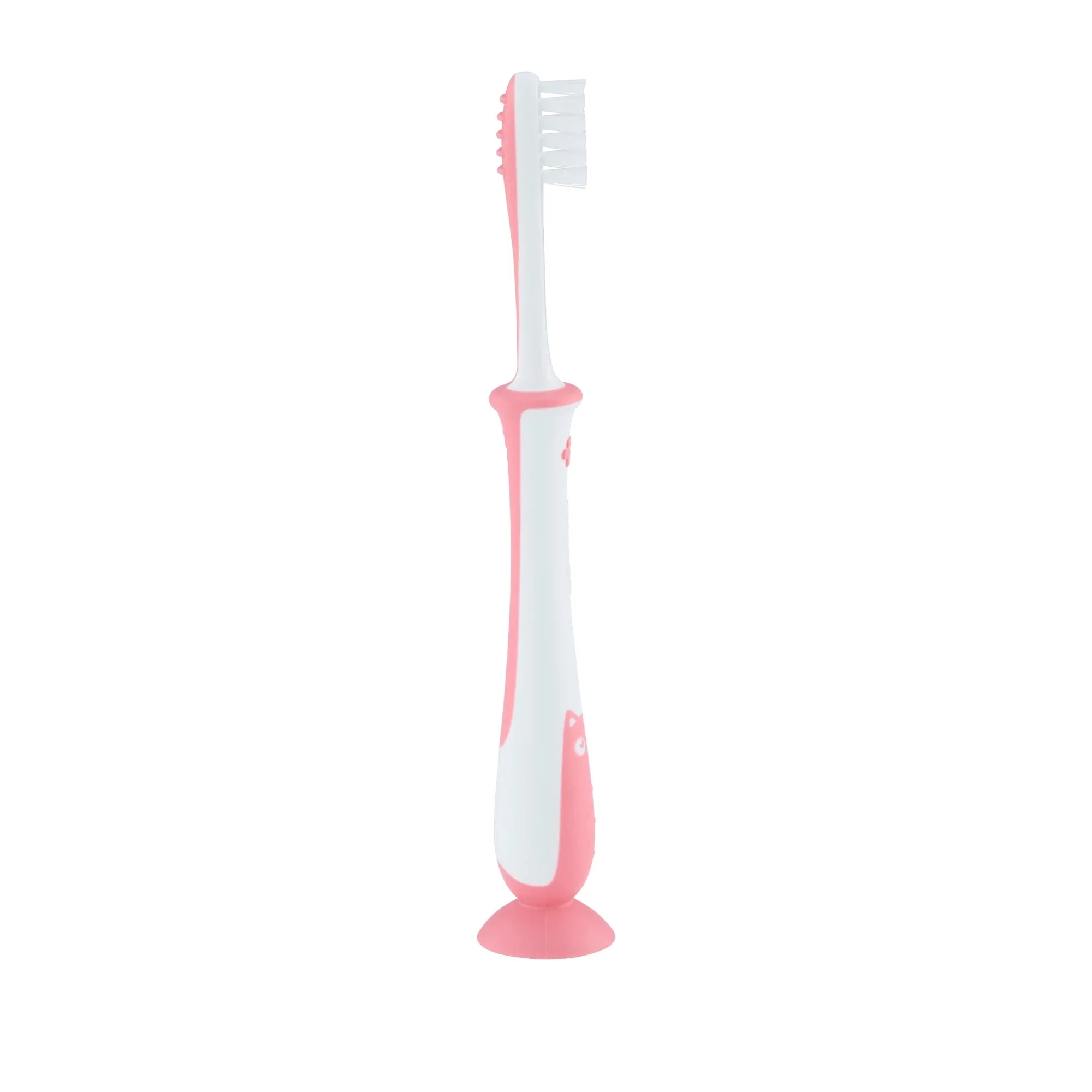 Pigeon Training Toothbrush - Image 4