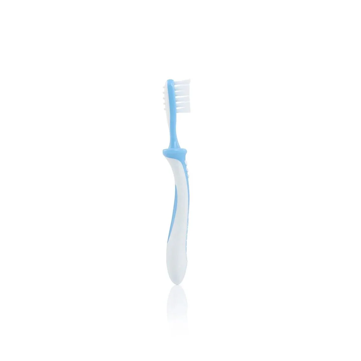 Pigeon Training Toothbrush - Image 5