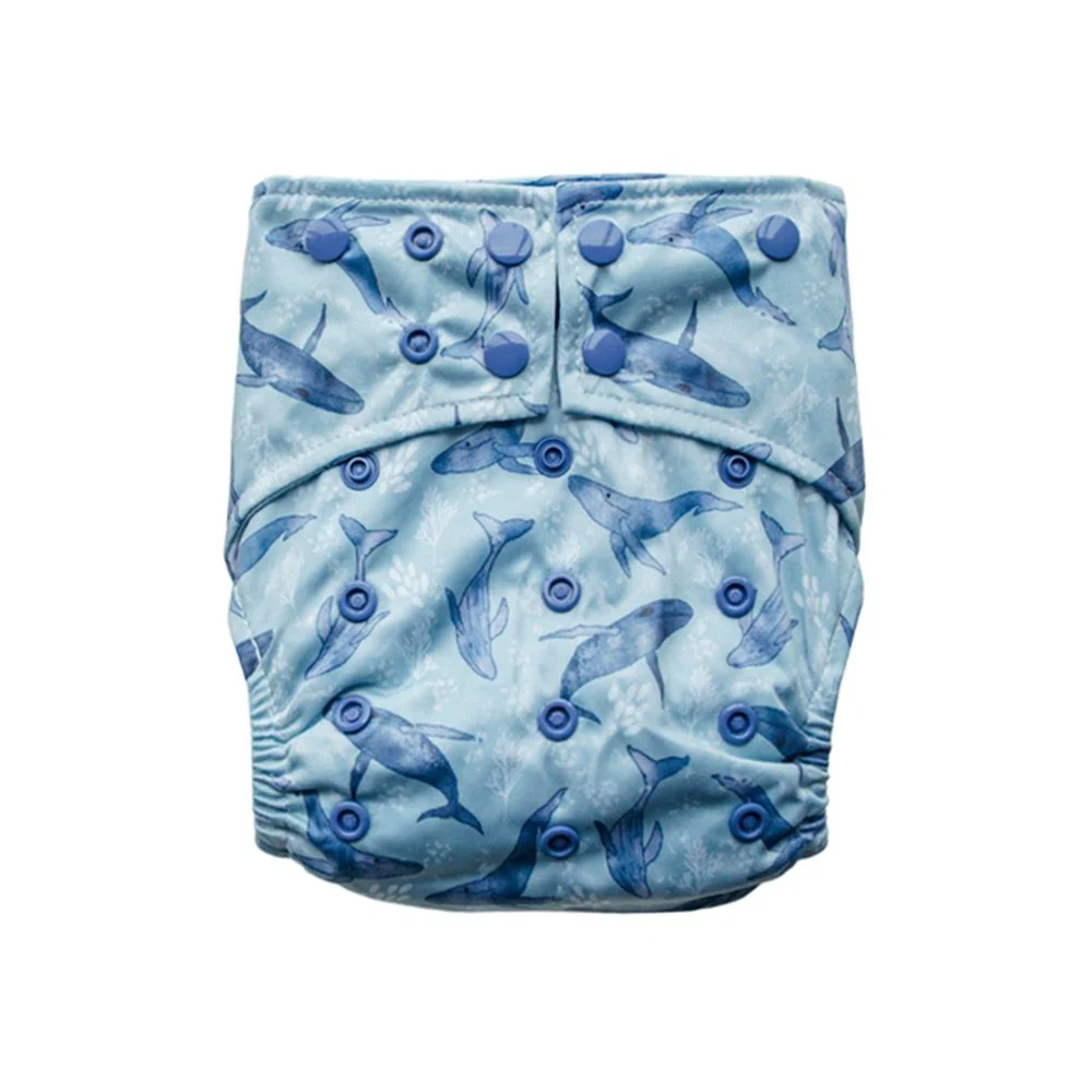 Sassy Pants Snap Nappy with 2 Inserts - One Size - Image 10