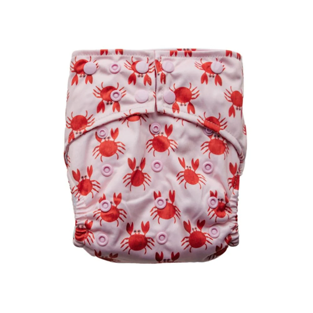 Sassy Pants Snap Nappy with 2 Inserts - One Size - Image 4