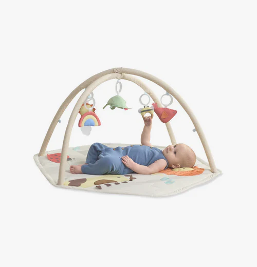 Skip Hop Geometric Wonders Activity Gym - Image 4