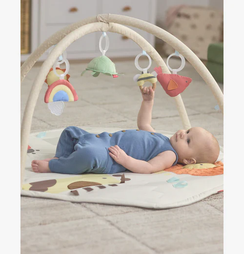 Skip Hop Geometric Wonders Activity Gym - Image 6