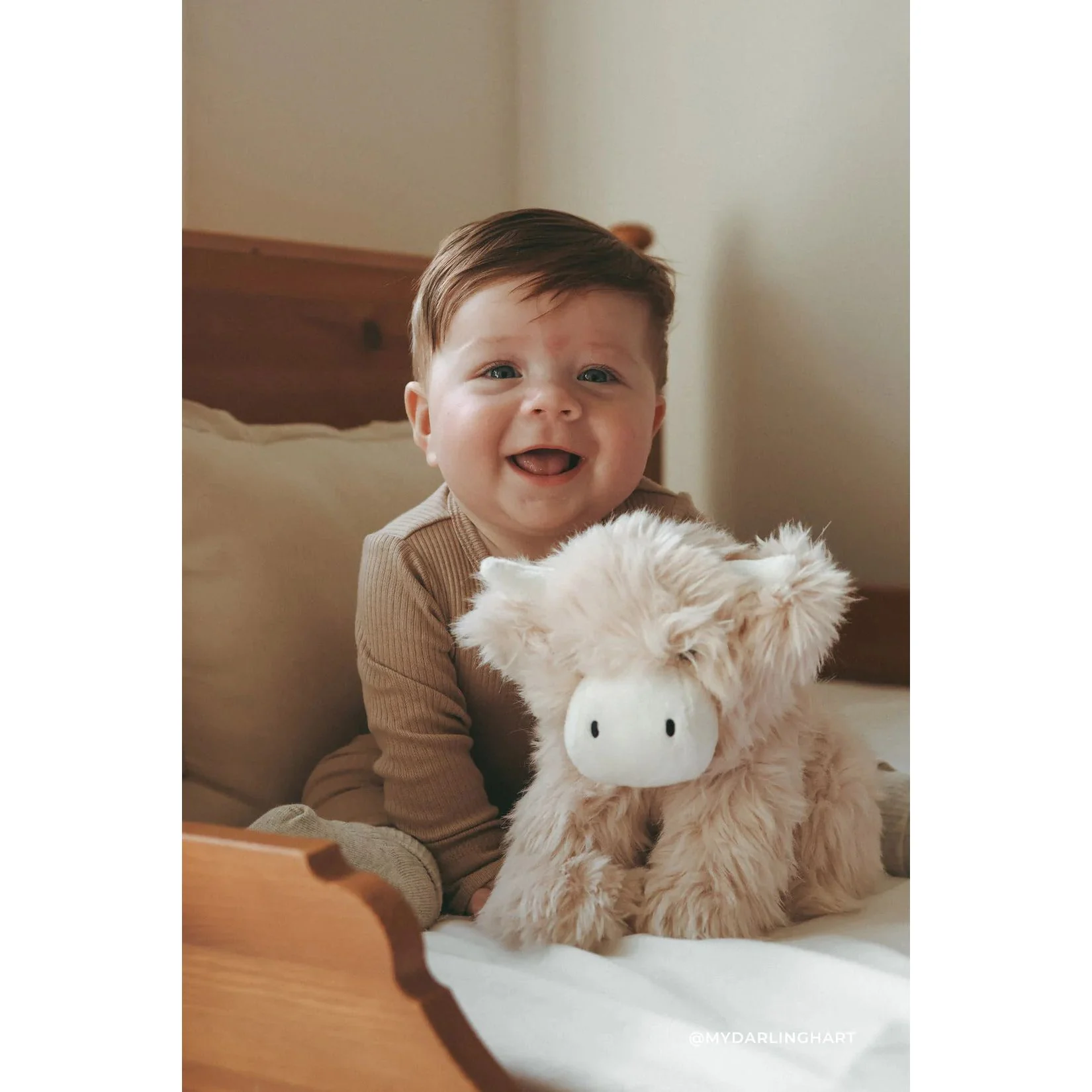 Snuggle Bunnies - Hilda The Highland Cow - Image 5