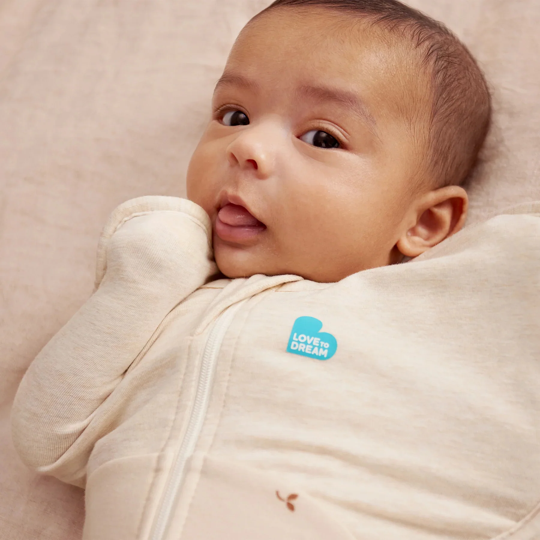 Love To Dream Swaddle Up™ All Seasons 1.5 TOG - Twigs - Image 4