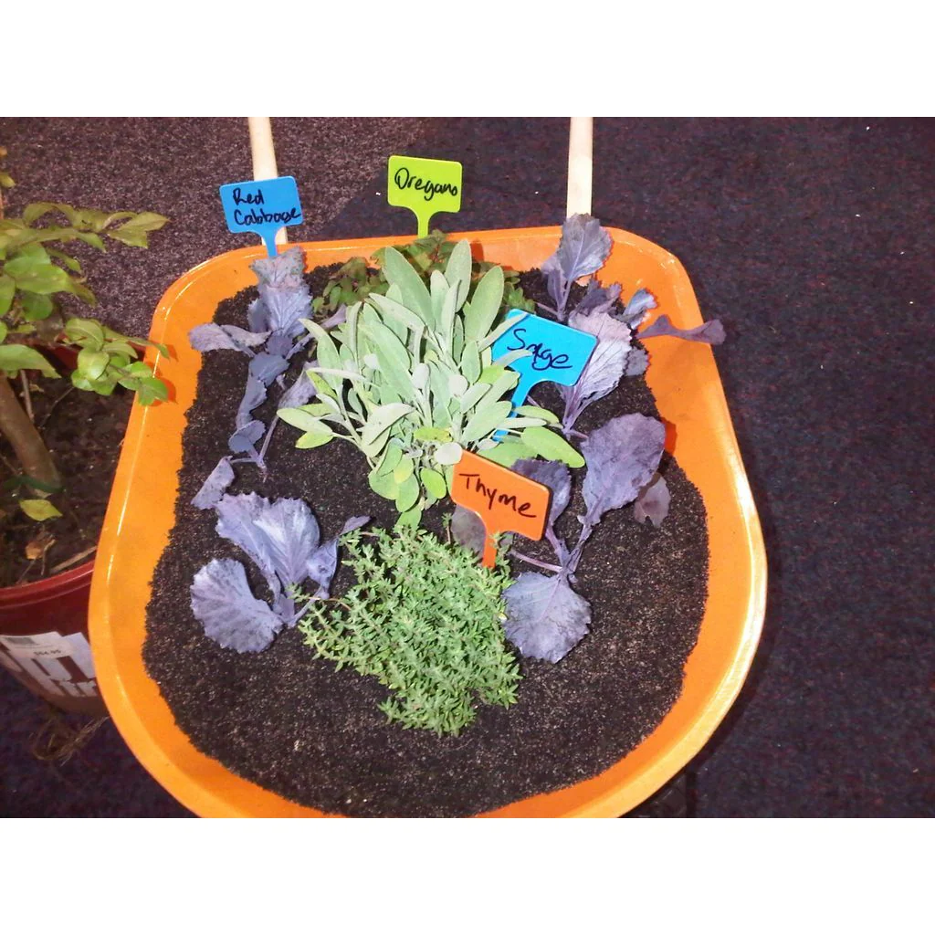 Twigz Kids Gardening Plant Labels - Image 2