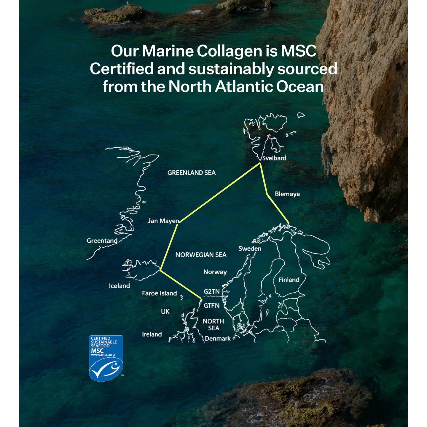 Two Islands Marine Collagen Capsules - Image 3