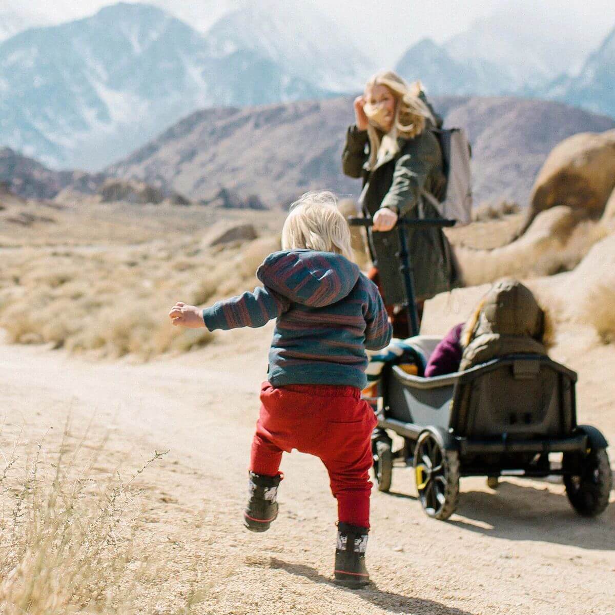 Veer All-Terrain Cruiser - Image 2