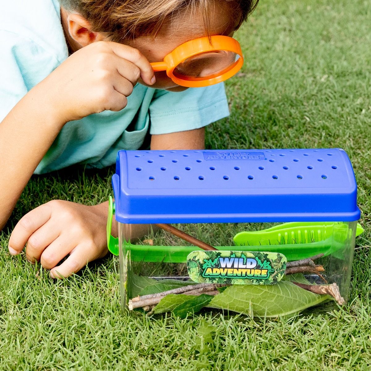 Wild Adventure Bug Shack - Image 2