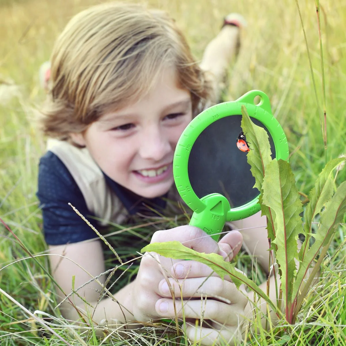 Wild Adventure Magnifying Glass - Image 4