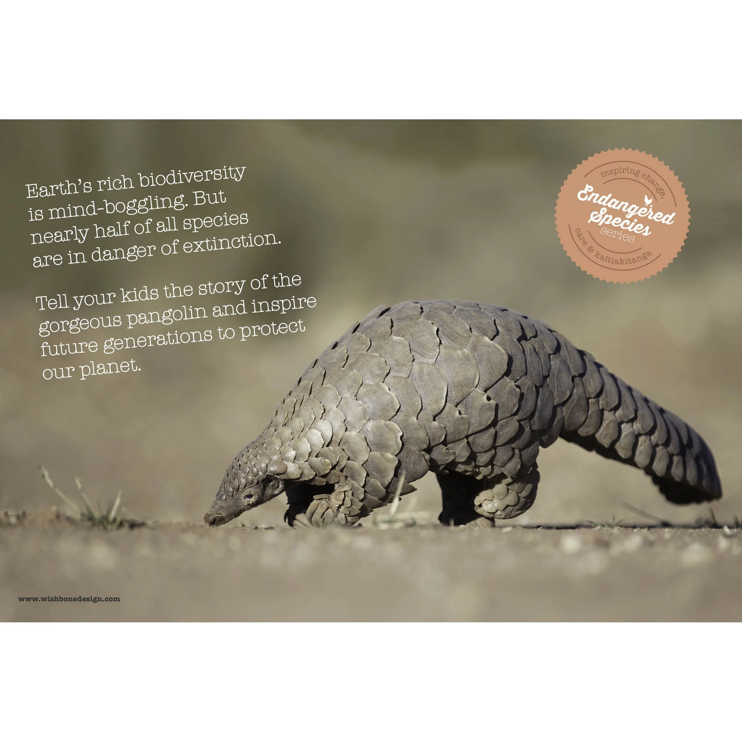 Wishbone Bike 3-in-1 Pangolin - Image 7