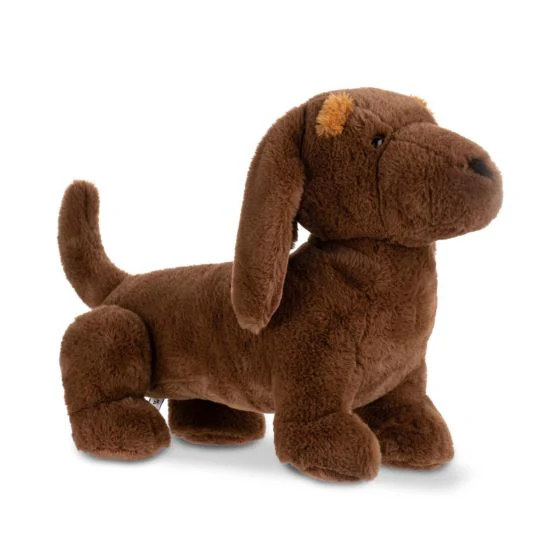 Wonderlings Lump Dachshund - Image 4